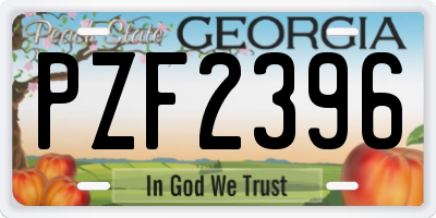 GA license plate PZF2396