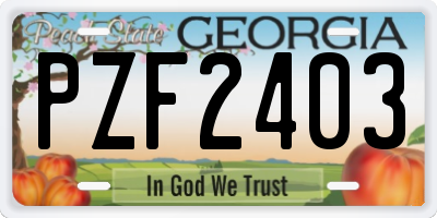 GA license plate PZF2403