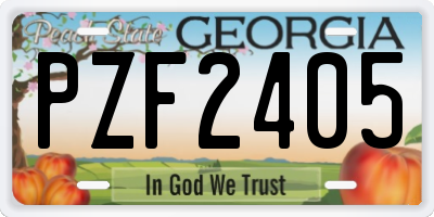 GA license plate PZF2405