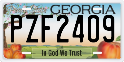 GA license plate PZF2409