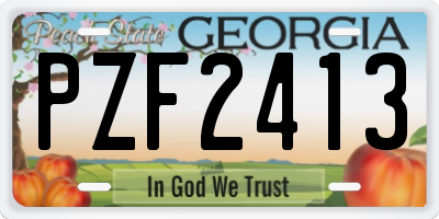 GA license plate PZF2413