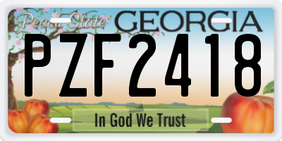 GA license plate PZF2418
