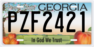 GA license plate PZF2421