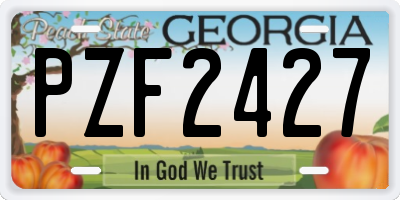 GA license plate PZF2427