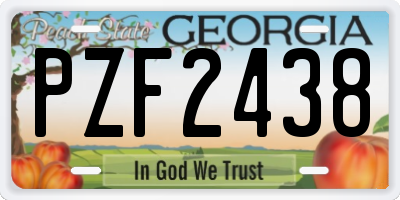GA license plate PZF2438