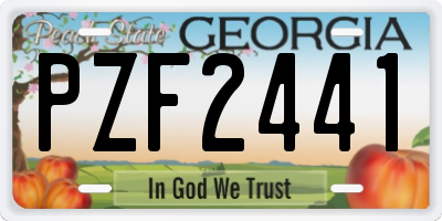 GA license plate PZF2441
