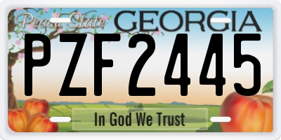 GA license plate PZF2445