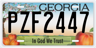 GA license plate PZF2447