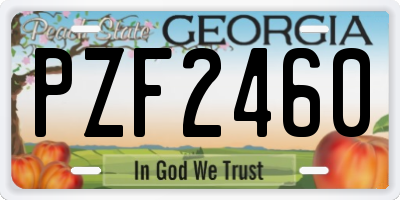 GA license plate PZF2460