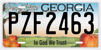 GA license plate PZF2463