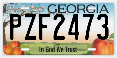 GA license plate PZF2473