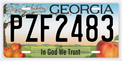 GA license plate PZF2483