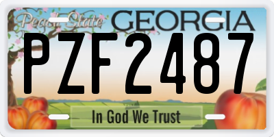 GA license plate PZF2487