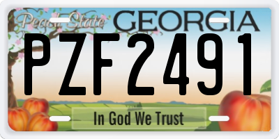 GA license plate PZF2491