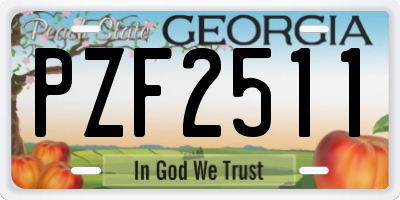 GA license plate PZF2511