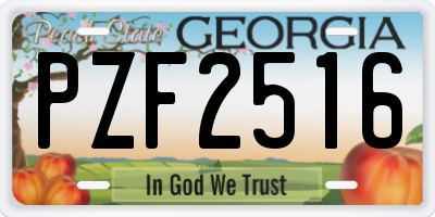GA license plate PZF2516