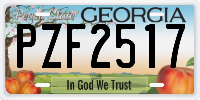 GA license plate PZF2517