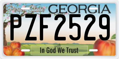 GA license plate PZF2529