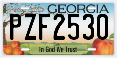 GA license plate PZF2530