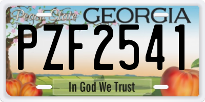 GA license plate PZF2541