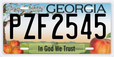 GA license plate PZF2545