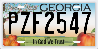 GA license plate PZF2547
