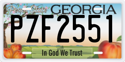GA license plate PZF2551