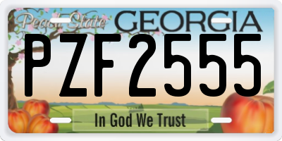 GA license plate PZF2555