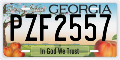 GA license plate PZF2557