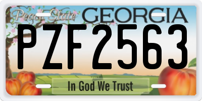 GA license plate PZF2563