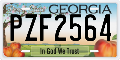 GA license plate PZF2564