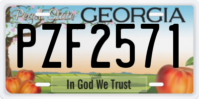 GA license plate PZF2571