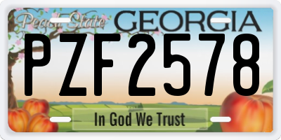 GA license plate PZF2578