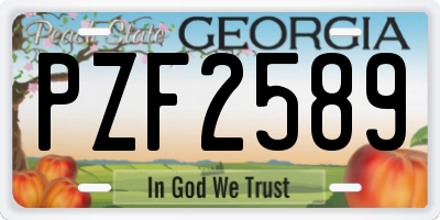 GA license plate PZF2589