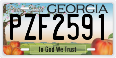 GA license plate PZF2591