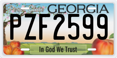 GA license plate PZF2599
