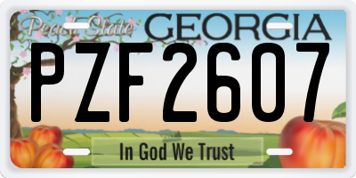 GA license plate PZF2607