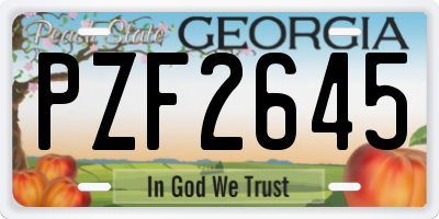 GA license plate PZF2645
