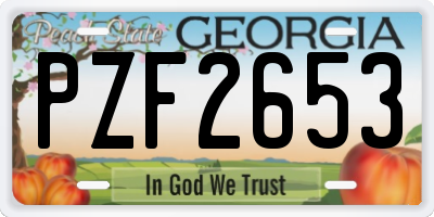 GA license plate PZF2653