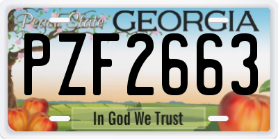 GA license plate PZF2663