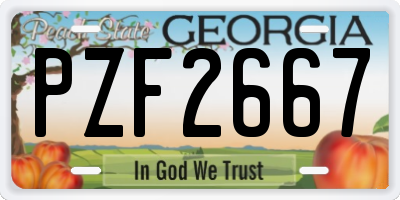 GA license plate PZF2667