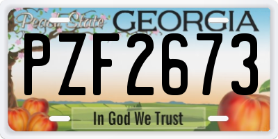 GA license plate PZF2673