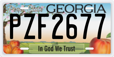 GA license plate PZF2677