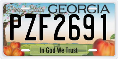 GA license plate PZF2691
