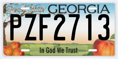GA license plate PZF2713
