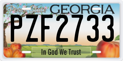 GA license plate PZF2733