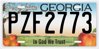 GA license plate PZF2773