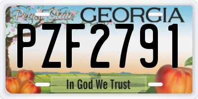GA license plate PZF2791