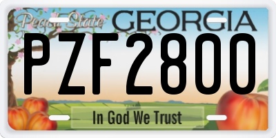 GA license plate PZF2800
