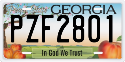 GA license plate PZF2801